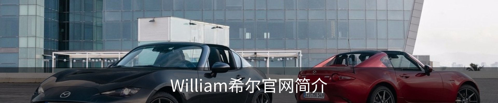William希尔官网简介
